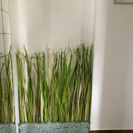 Residenza Baia Riaci Apartamento Tropea